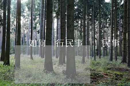 如何進行民事訴訟，民事訴訟流程怎么走