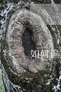 如何逾期還款(貸款逾期后怎么還款)