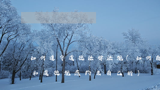 如何遵守道德法律法规(如何自觉遵守法律和道德规范,约束自己的)