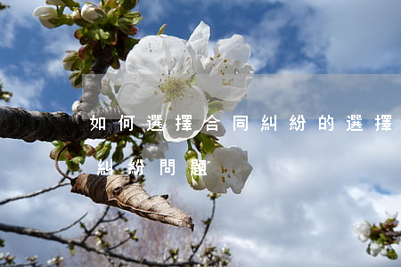 如何選擇合同糾紛的選擇方式(如何處理合同糾紛問題)