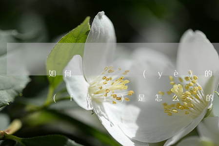 如何選擇專業(yè)的律師，知名律師收費(fèi)是怎么樣的？