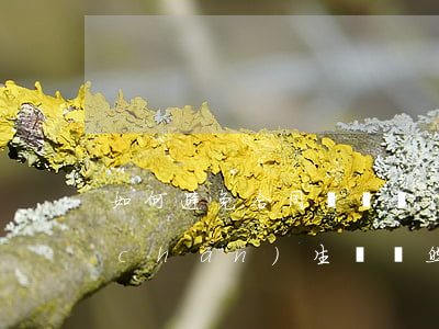 如何避免合同糾紛問(wèn)題(合同產(chǎn)生糾紛然后解決方案)