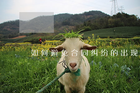 如何避免合同纠纷的出现