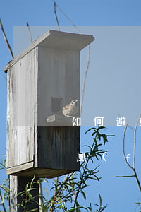 如何避免應(yīng)收賬款的潛在法律風(fēng)險