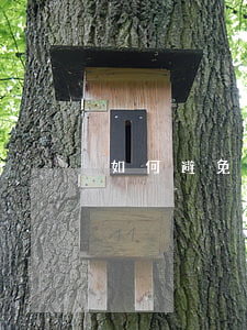 如何避免買賣合同糾紛