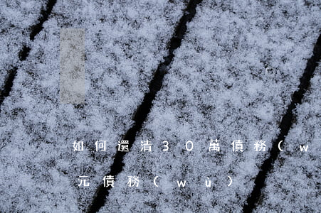 如何還清30萬債務(wù)(如何還30萬元債務(wù))