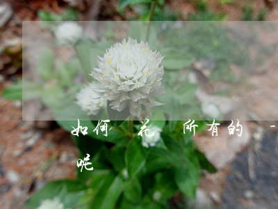 如何還花唄所有的錢-如何還花唄所有的錢呢