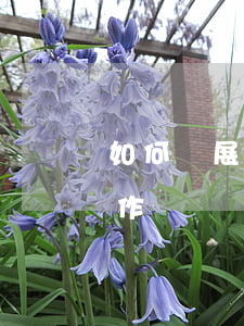 如何開展逾期貸款工作(如何開展逾期貸款工作)
