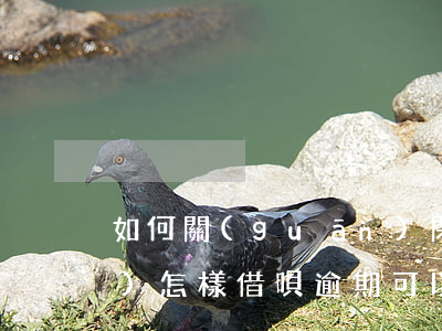 如何關(guān)閉借唄逾期會(huì)怎樣(借唄逾期可以消除嗎?)