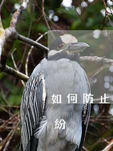 如何防止租賃合同糾紛(如何防止租賃合同糾紛)