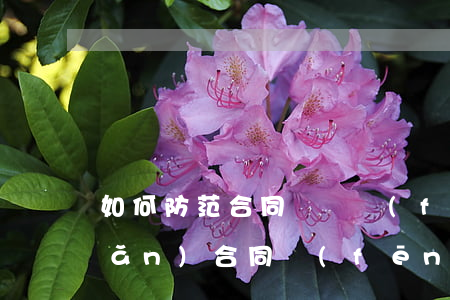 如何防范合同糾紛風(fēng)險(xiǎn)(合同風(fēng)險(xiǎn)防范措施)