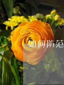 如何防范建設工程合同糾紛