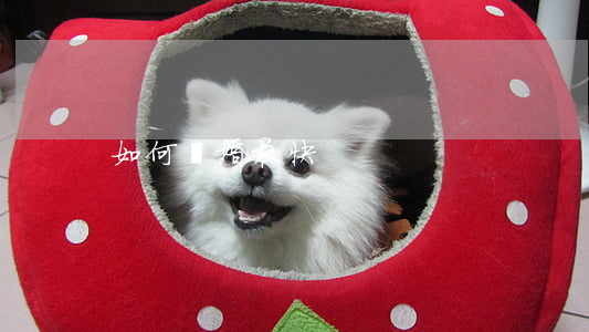 如何離婚最快
