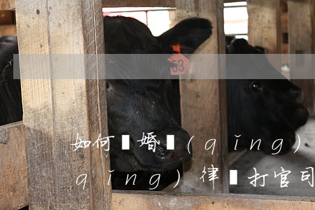 如何離婚請(qǐng)律師(離婚怎么請(qǐng)律師打官司)