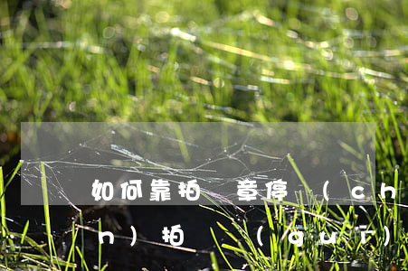 如何靠拍違章停車(chē)賺錢(qián)，拍違規(guī)停車(chē)怎么賺錢(qián)