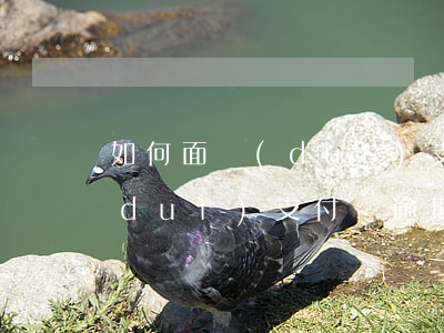 如何面對(duì)支付寶逾期(如何面對(duì)支付寶逾期)