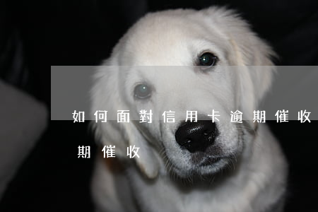 如何面對信用卡逾期催收(如何面對信用卡逾期催收)