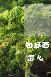 如何面對高額的信用卡逾期利息 信用卡逾期怎么辦