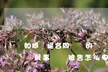 如何順延合同糾紛的訴訟時(shí)效再審(民事訴訟被告怎么申請(qǐng)延期)