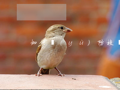 如何預(yù)防校園欺凌