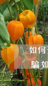 如何預(yù)防網(wǎng)上兼職詐騙(如果被網(wǎng)上兼職詐騙了怎么辦)