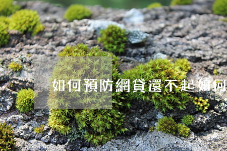 如何預防網貸還不起(如何預防網貸還不起)