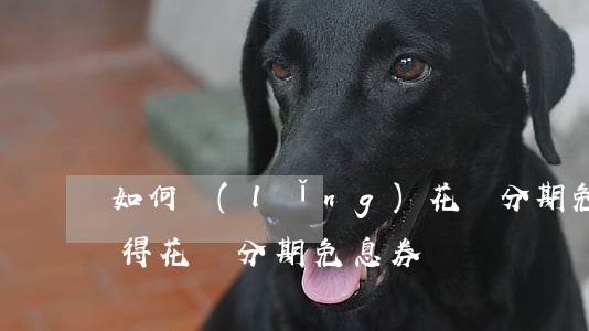 如何領(lǐng)花唄分期免息券(怎樣獲得花唄分期免息券)