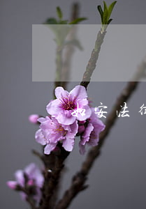 如安法律顧問逾期(如安法律顧問逾期)
