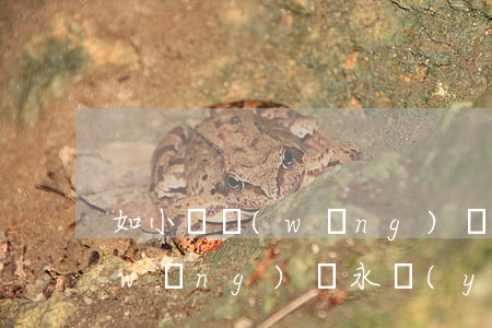 如小額網(wǎng)貸不還會怎么樣(網(wǎng)貸永遠(yuǎn)不還會怎么樣)