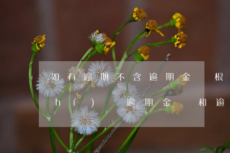 如有逾期不含逾期金額(根據(jù)實(shí)際逾期金額和逾期天數(shù))