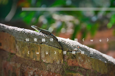 如東縣律師債務(wù)-如東縣律師債務(wù)管理辦法