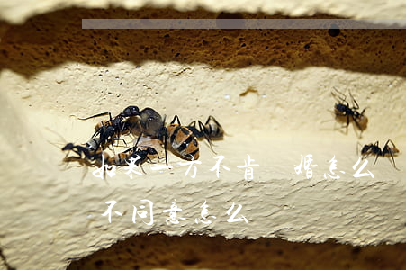 如果一方不肯離婚怎么辦(單方面想離婚對方不同意怎么辦)