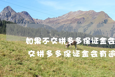 如果不交拼多多保证金会有逾期吗-如果不交拼多多保证金会有逾期吗怎么办