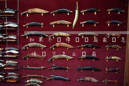如果不請律師開庭家屬怎么知道(不找律師的情況下怎么開庭)