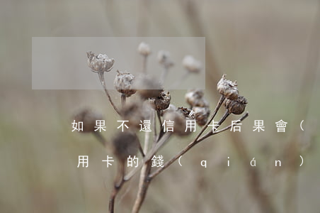如果不還信用卡后果會(huì)如何(欠信用卡的錢(qián)不還會(huì)造成什么后果)