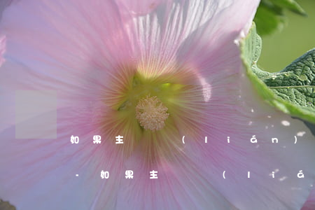 如果主動聯(lián)系銀行談逾期處理-如果主動聯(lián)系銀行談逾期處理的辦法