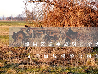 如果交通事故对方全责保险公司(对方全责的交通事故保险公司怎么赔)