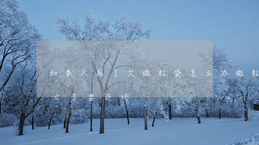 如果人死了欠微粒贷怎么办(微粒贷借款人身亡了要还吗)