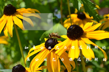 如果企业无力偿还到期的银行承兑汇票-如果企业无力偿还到期的银行承兑汇票,企业应当
