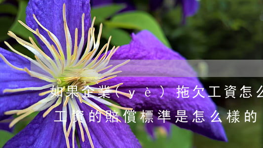如果企業(yè)拖欠工資怎么辦（公司拖欠工資的賠償標準是怎么樣的）