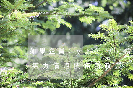 如果企業(yè)無力償還到(企業(yè)無力償還債務新政策)