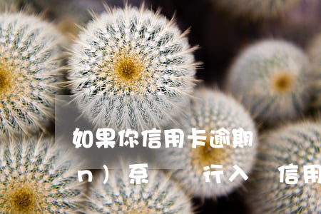 如果你信用卡逾期過辦銀行卡有關(guān)系嗎（銀行入職信用卡有過逾期）