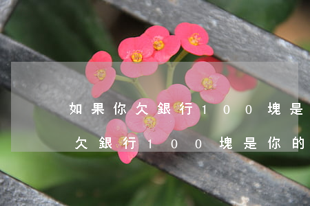 如果你欠銀行100塊是你的問題-如果你欠銀行100塊是你的問題嗎