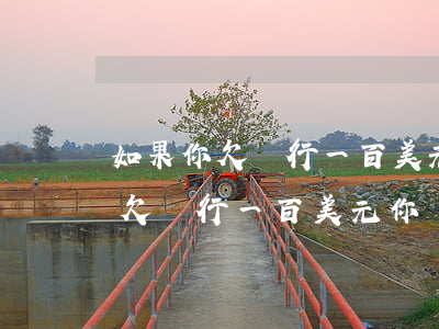 如果你欠銀行一百美元你會有麻煩-如果你欠銀行一百美元你會有麻煩嗎
