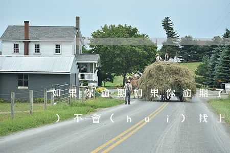 如果你逾期(如果你逾期了沒還 他會(huì)不會(huì)找上門呢)