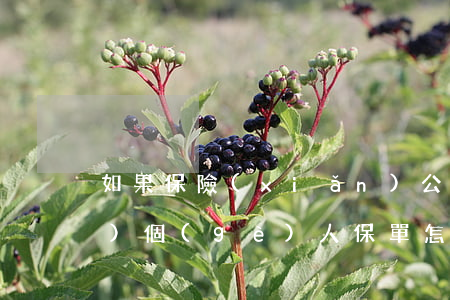 如果保險(xiǎn)公司破產(chǎn)個(gè)人保單怎么辦（保險(xiǎn)公司破產(chǎn)后具體賠付是怎樣的）