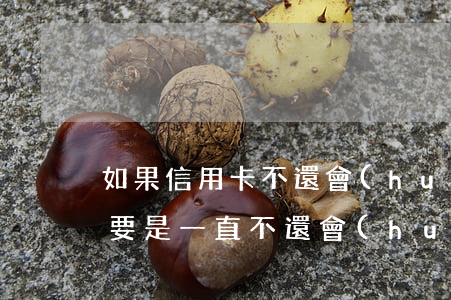 如果信用卡不還會(huì)怎么樣(信用卡要是一直不還會(huì)怎么樣)