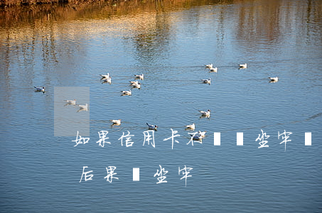 如果信用卡不還會坐牢嗎(信用卡不還有什么后果會坐牢)