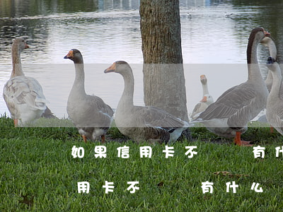 如果信用卡不還會有什么樣的后果-如果信用卡不還會有什么樣的后果百度
