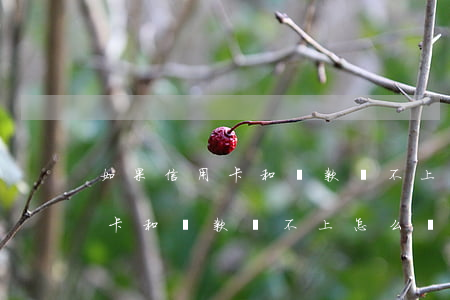 如果信用卡和貸款還不上怎么辦-如果信用卡和貸款還不上怎么辦呢
